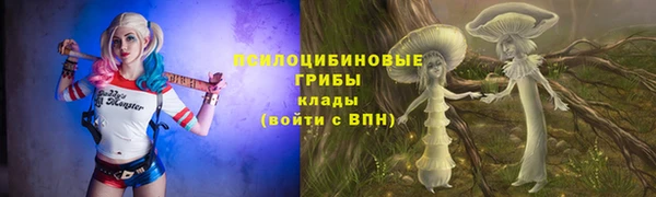 мдма Богданович