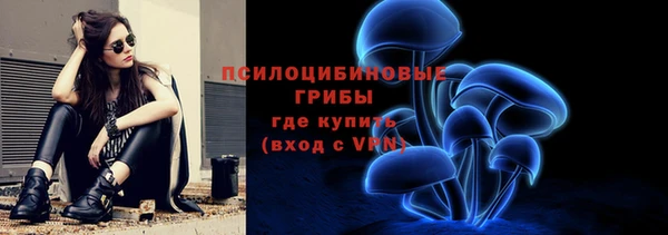 СК Зерноград