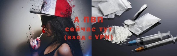 амф Богородицк