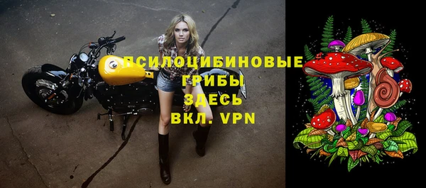 мдма Богданович