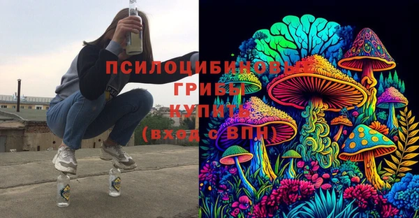 2c-b Белокуриха